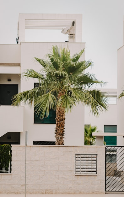 Building Trust in Real Estate